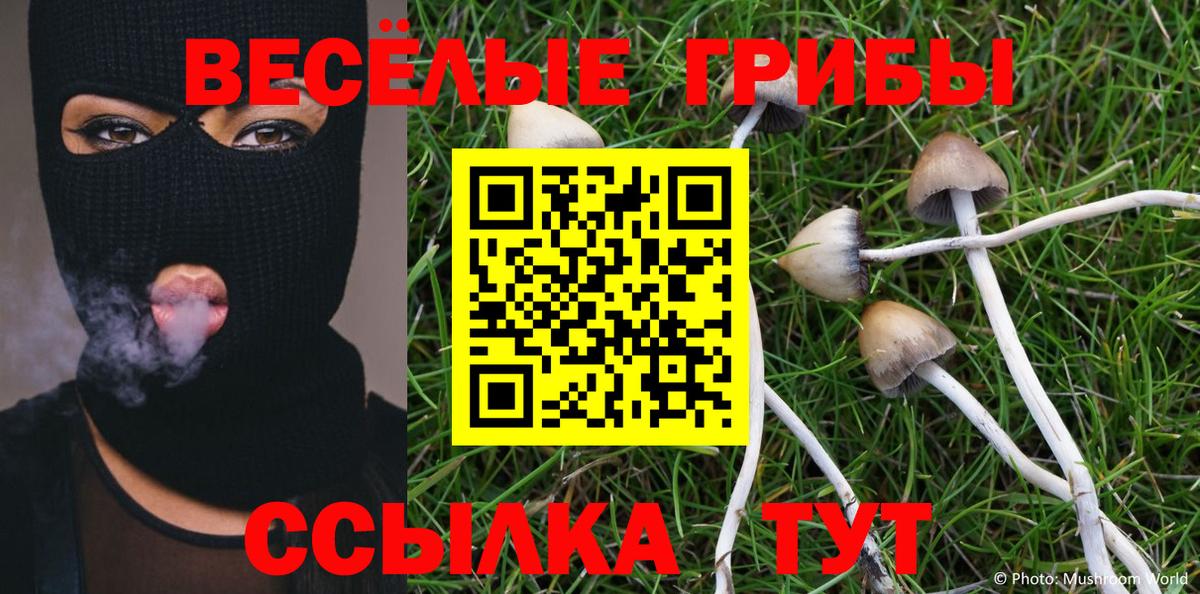 Галлюциногенные грибы Cubensis Сорочинск