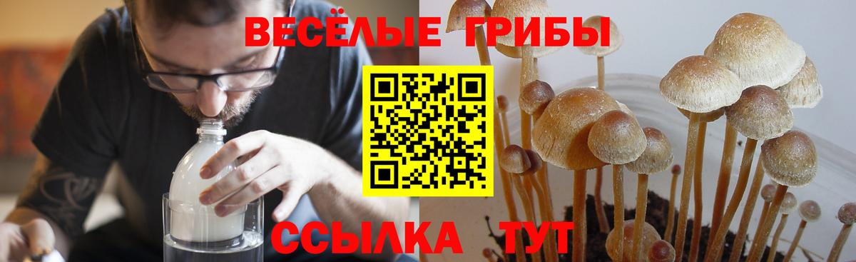 Сорочинск  Галлюциногенные грибы GOLDEN TEACHER  Вход с VPN 